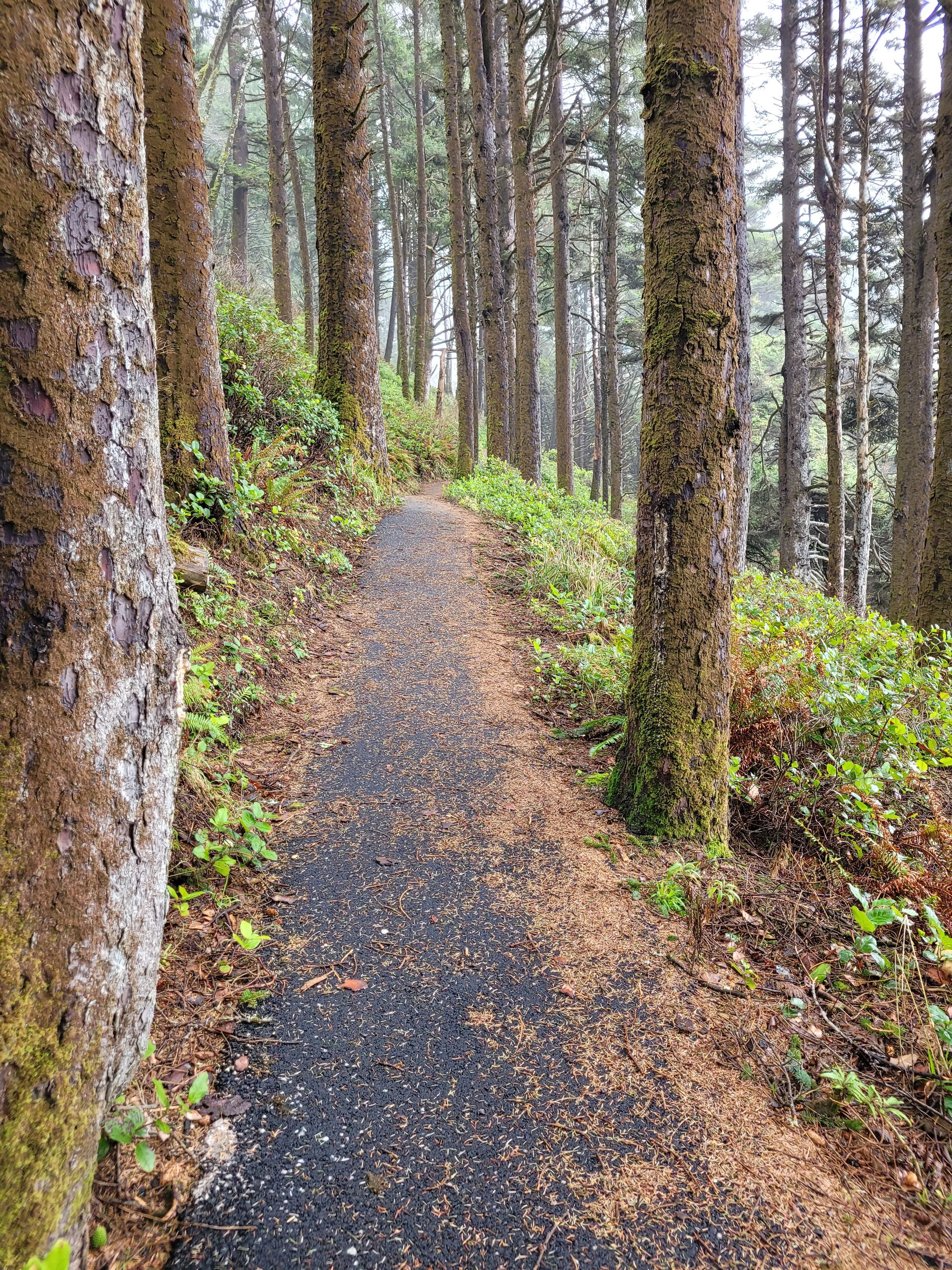 Paved track