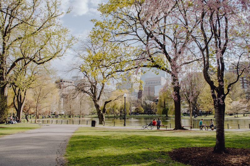 Central Park is a must visit in NYC. Most of the park is wheelchair accessible