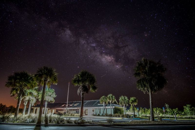 Big Cypress National Preserve is adapted to accommodate guests with disabilities. The park has smooth boardwalks that can easily be navigated in a wheelchair