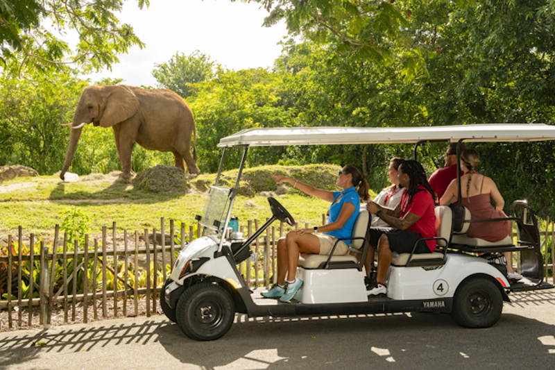 The Zoo Miami is an accessible zoo that is perfect for the whole family.