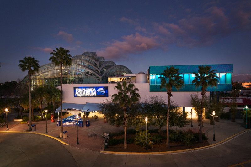 The Florida Aquarium is an accessible activity to do in Tampa, Florida