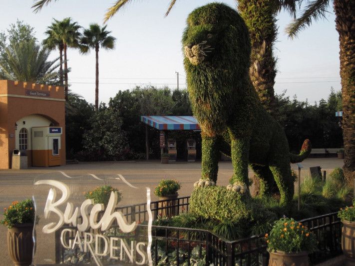Busch Gardens in Tampa is an accessible park to visit.