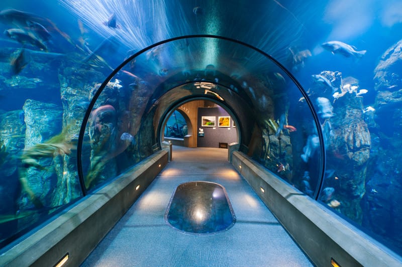 Oregon Coast Aquarium in Newport, Oregon