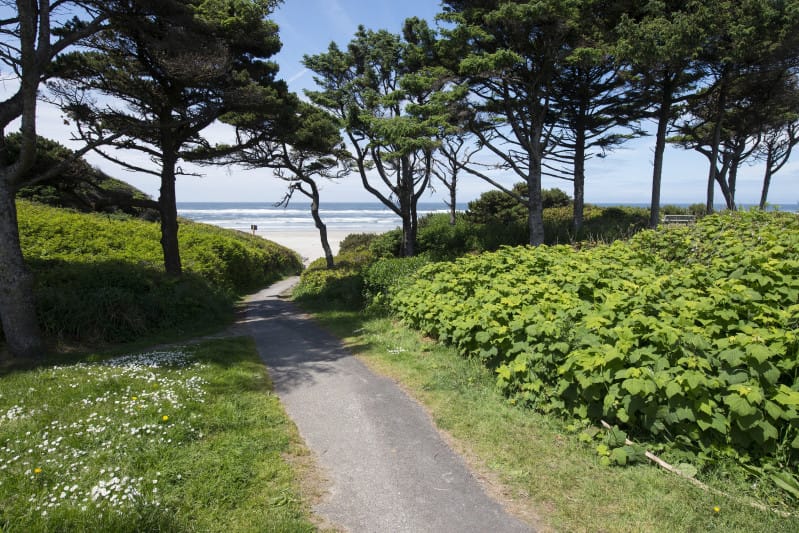 A trail leading down to the beach at Governor Patterson Memorial State Recreation Site