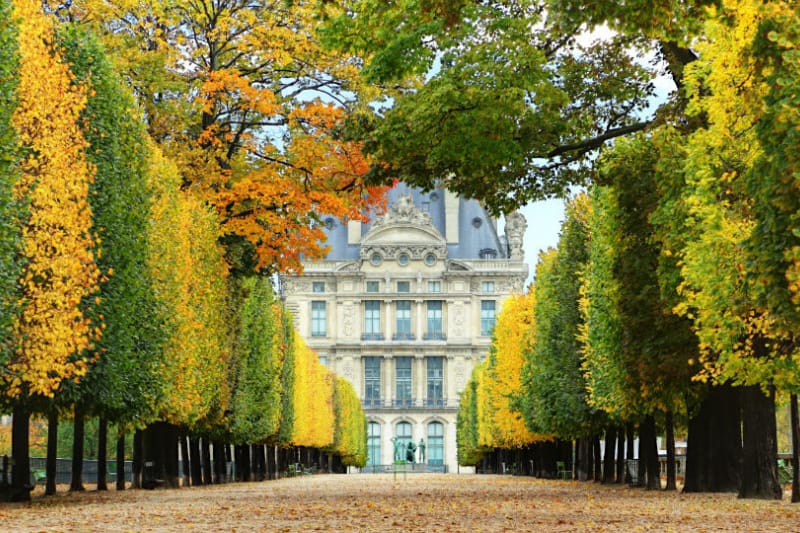 Tuileries Garden pathway
