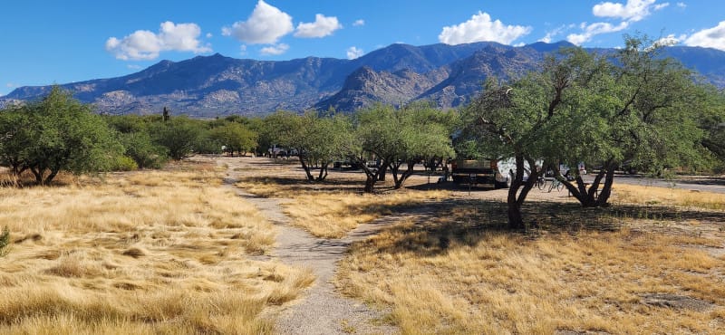 Seven Accessible Things to See and Do in Tucson, Arizona