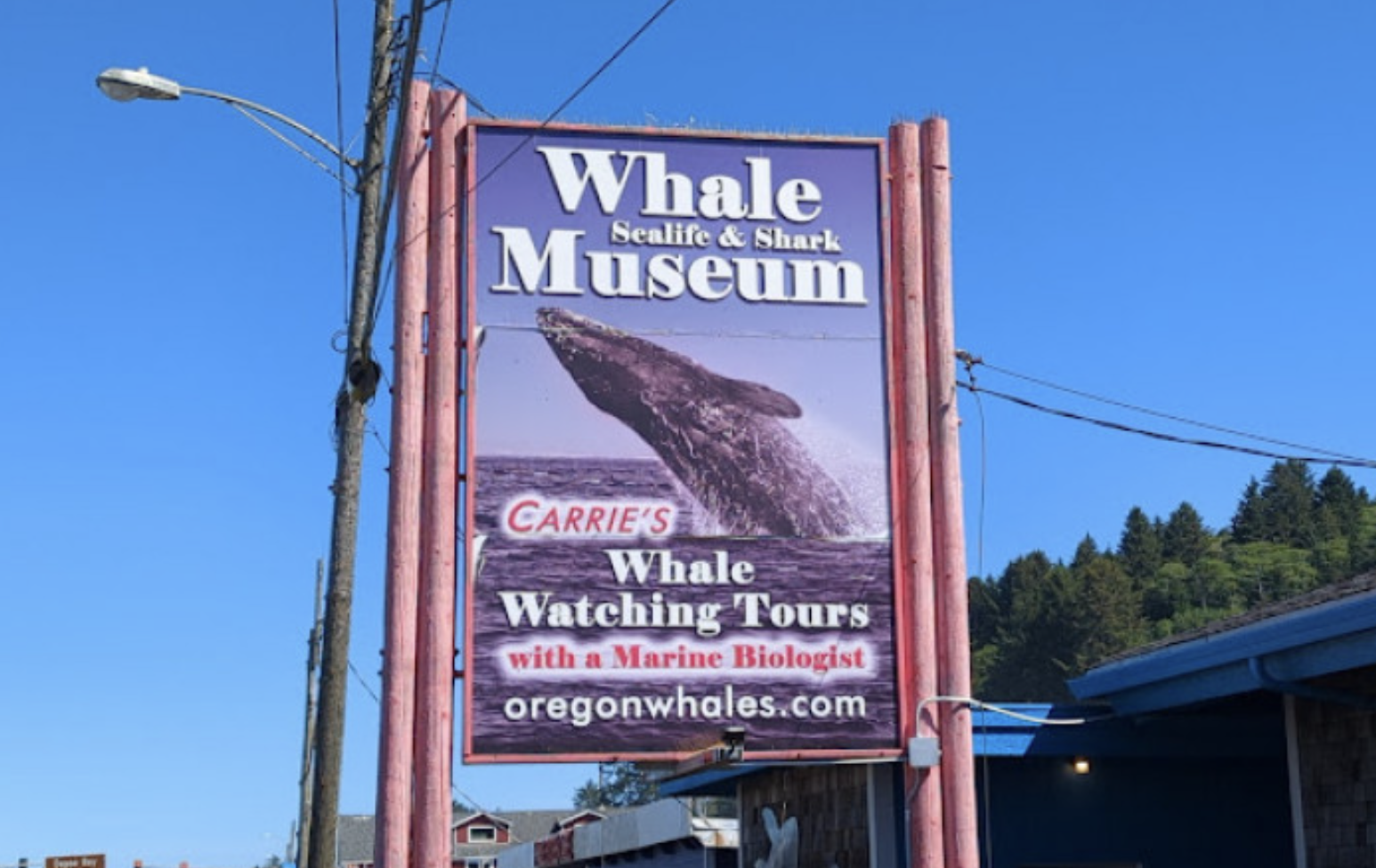 Discover Accessible Restaurants, Hotel, and Activities in Depoe Bay, Oregon