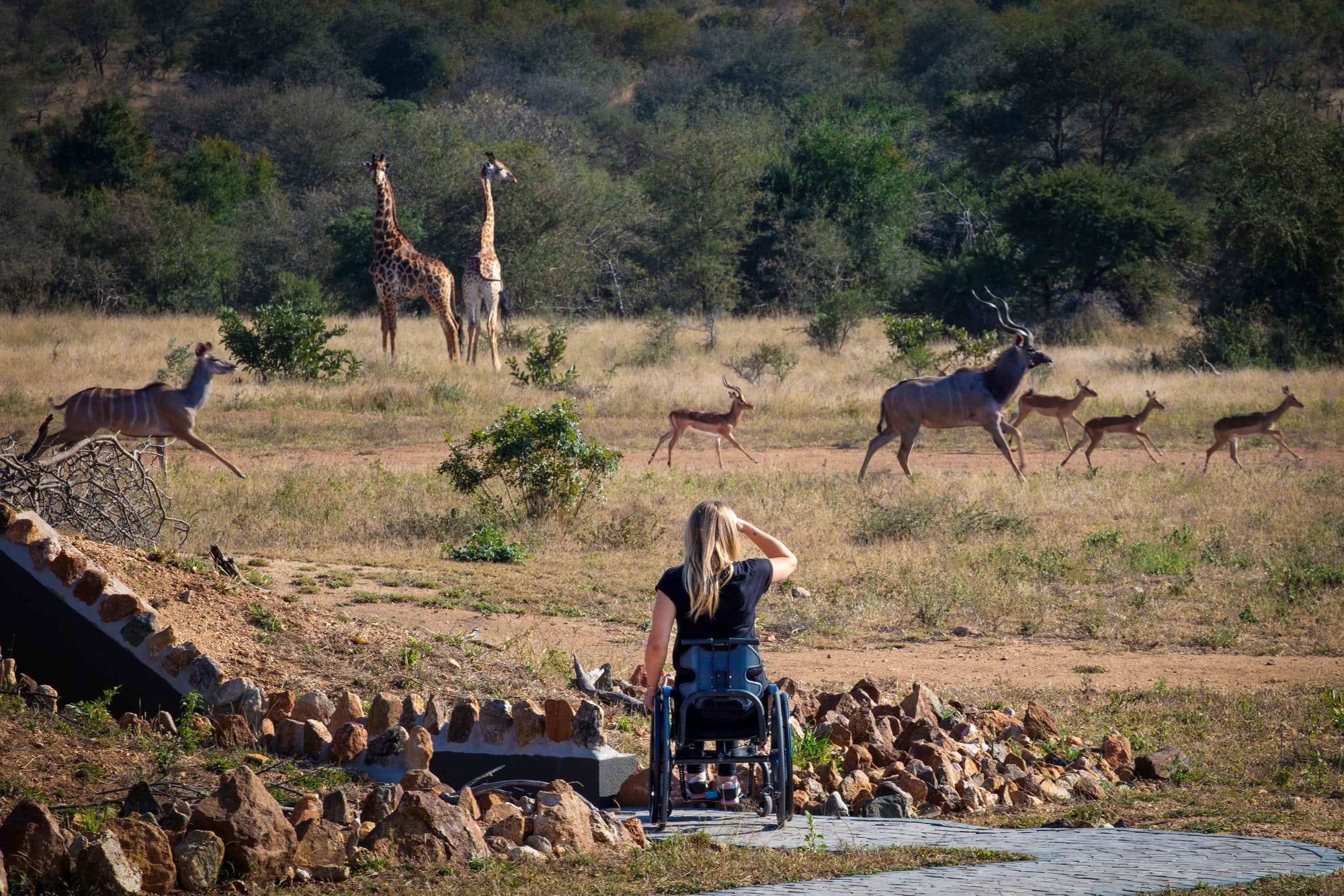 Sophie Morgan watching the wildlife on an accessible safari in South Africa