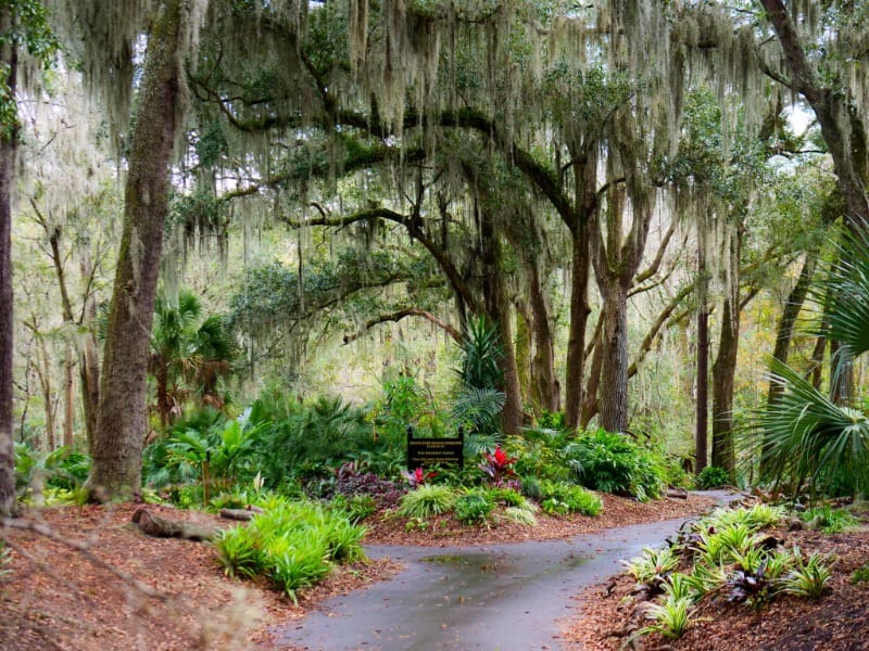 Jacksonville Arboretum & Botanical Gardens is a wheelchair accessible attraction in Jacksonville