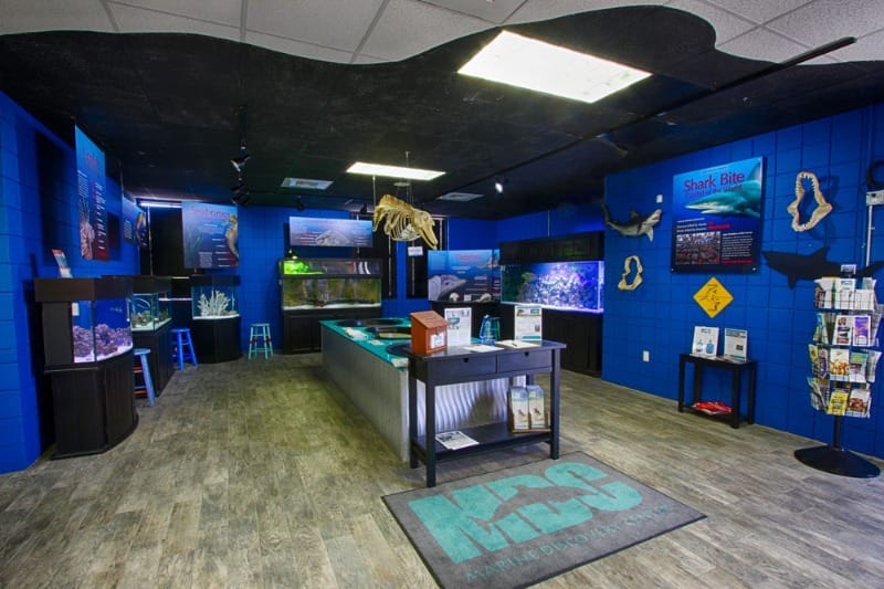 Marine Discovery Center is an accessible thing to do in New Smyrna Beach