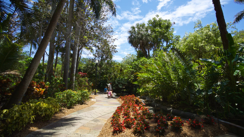 Sunken Gardens is an accessible attraction in St. Pete, Florida