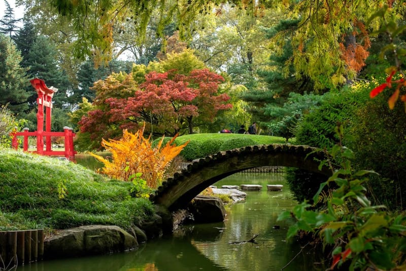 Brooklyn Botanic Gardens is a wheelchair accessible attraction in NYC