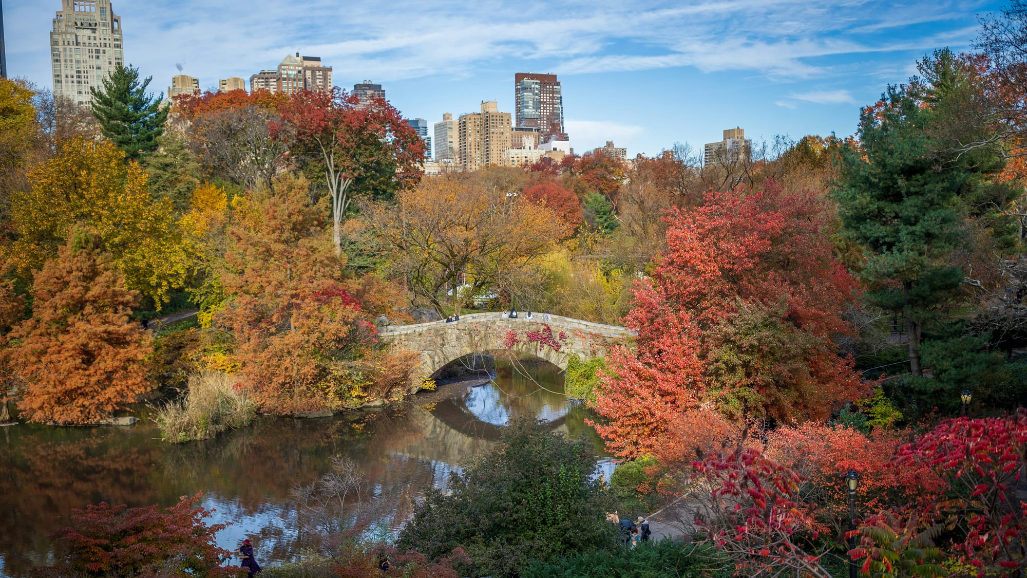 The fall colors in NYC makes it a perfect season to visit.