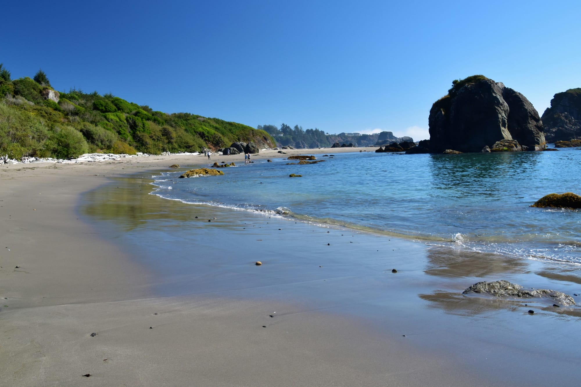 Harris Beach State Park in Curry Coast, Oregon