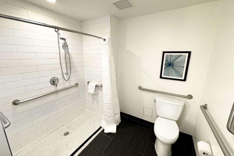 Wheelchair accessible roll-in shower and toilet grab bars at the Godfrey Hotel in Chicago