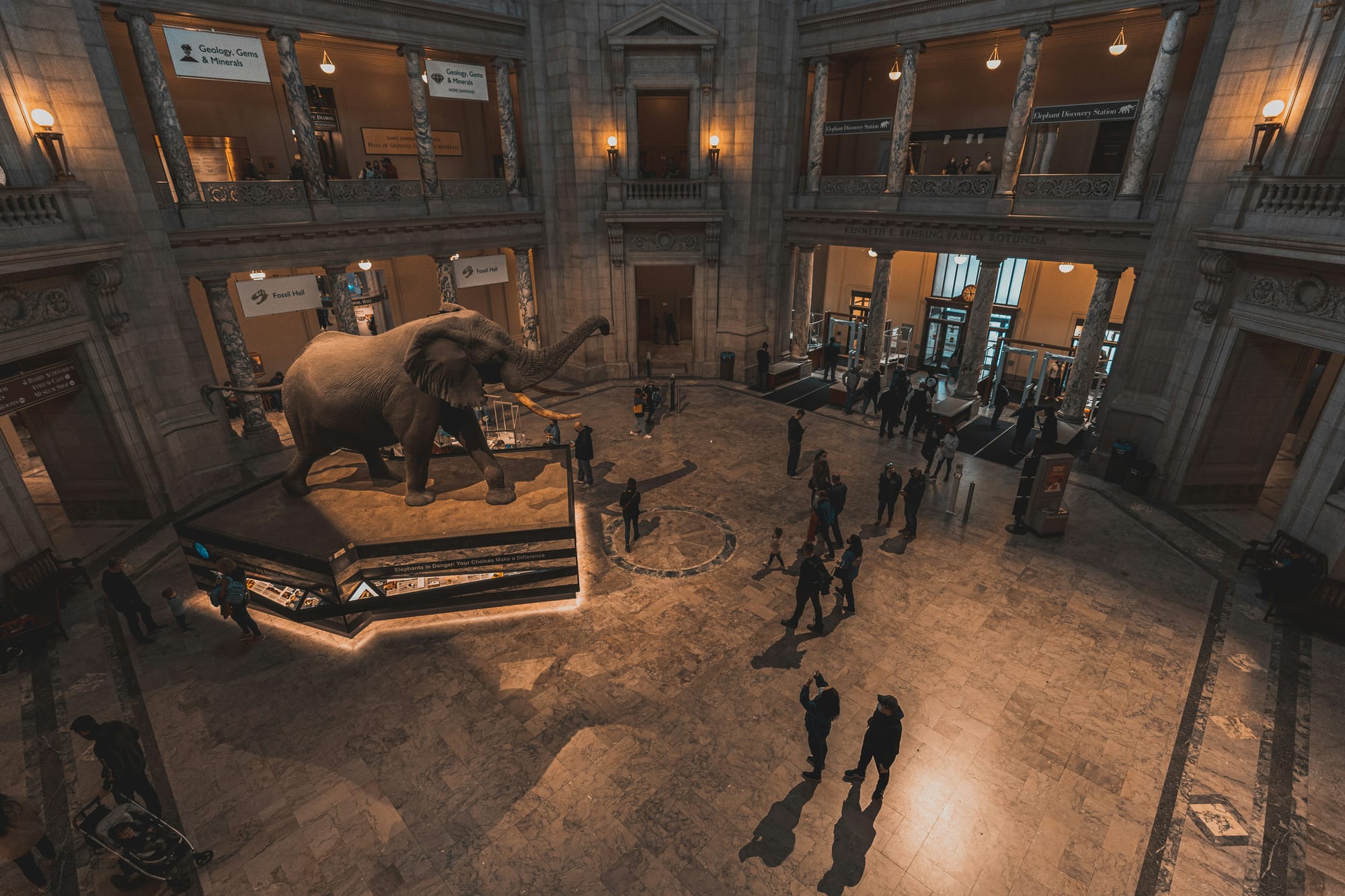 The lobby of the Smithsonian Museum of Natural History