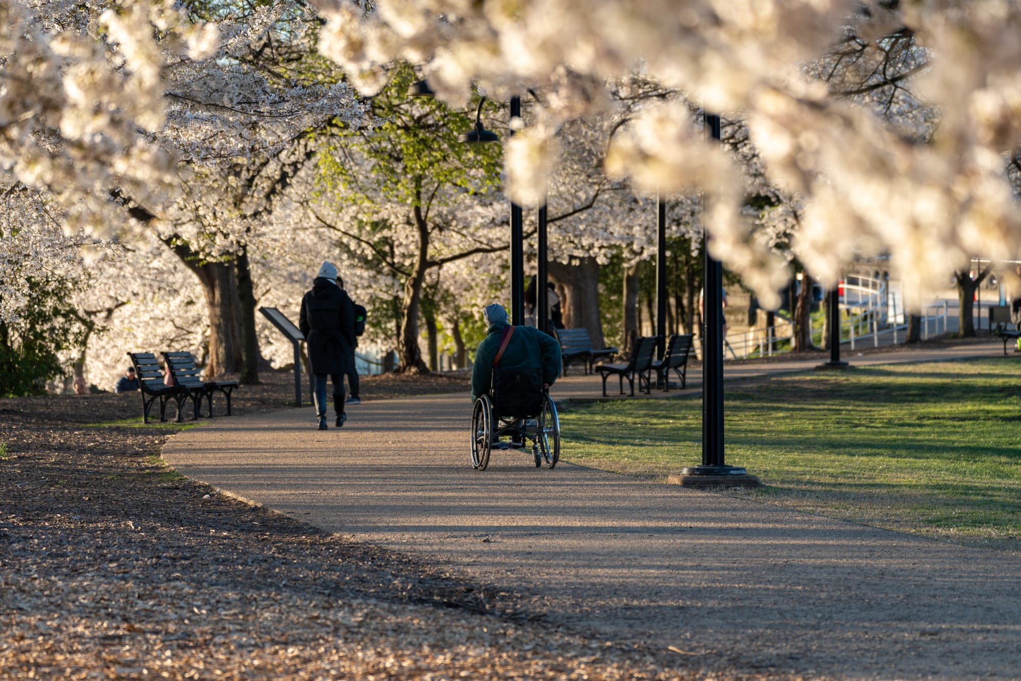 Wheelchair user exploring accessible pathways in Washington DC park