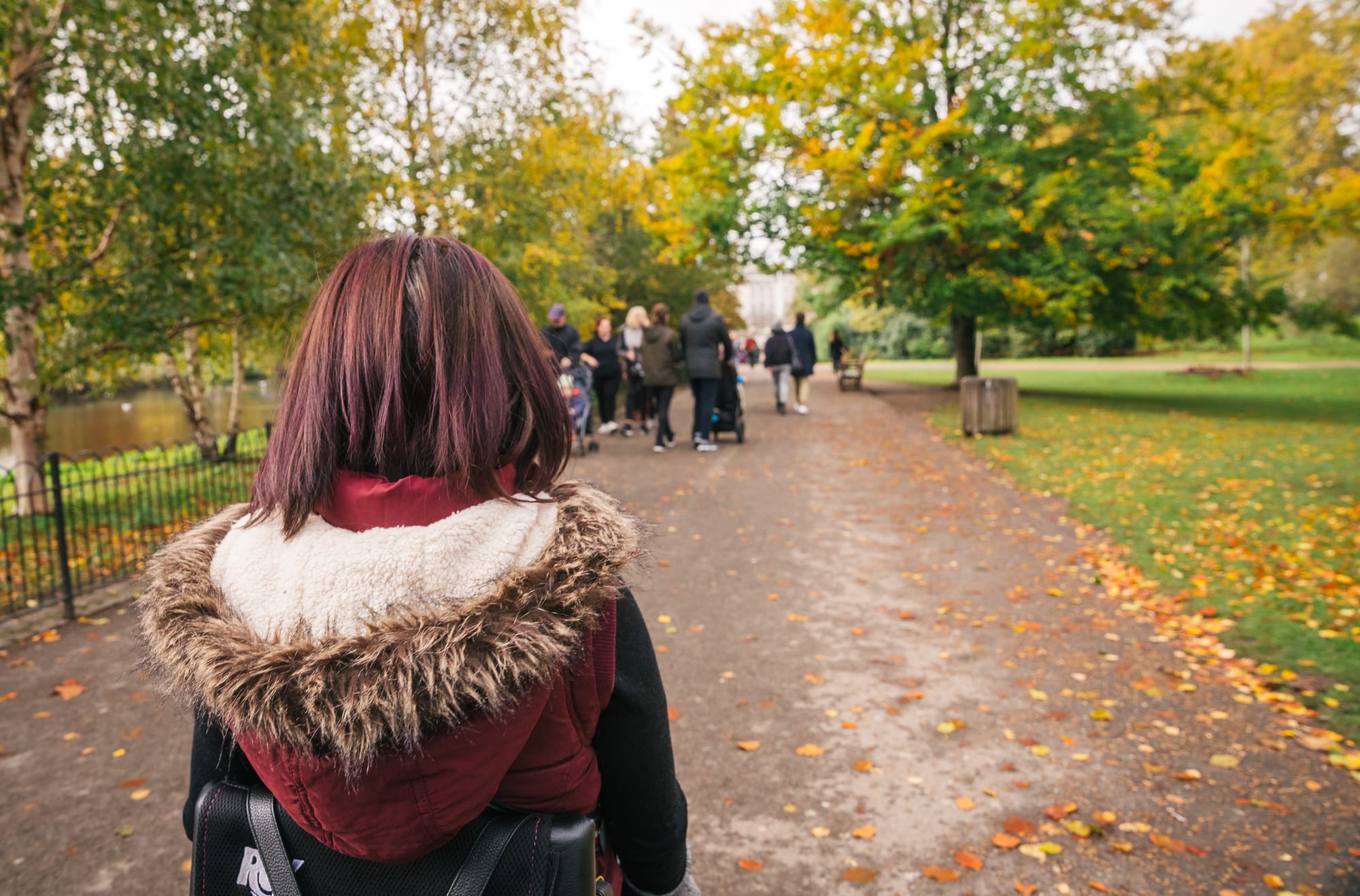 Wheelchair-user strolling accessible St. James Park in London