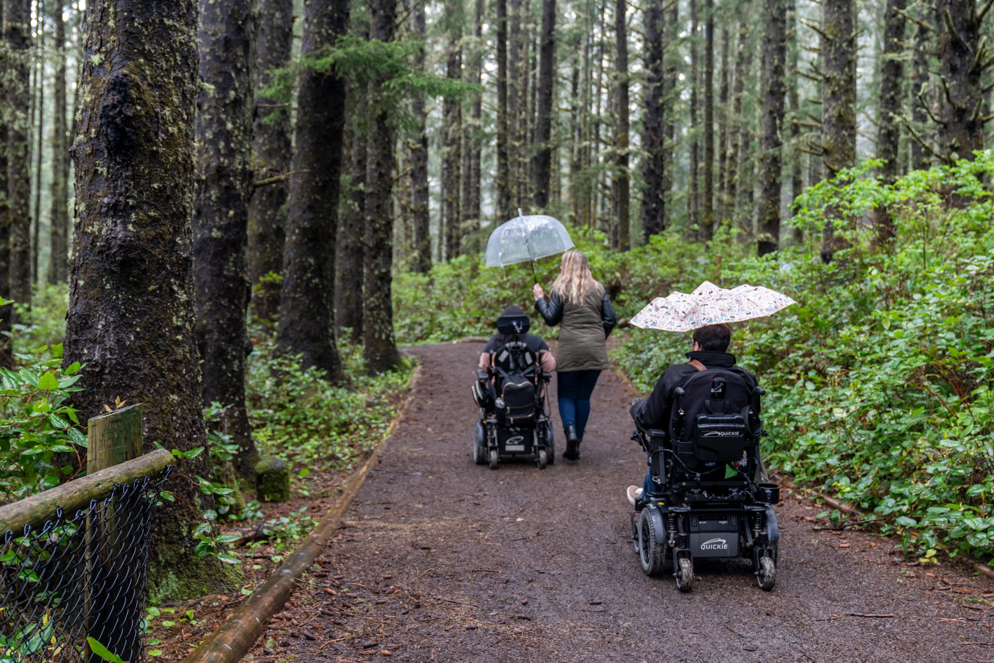 Wheelchair users on an accessible path to the Octopus Tree, Tillamook Coast, Oregon