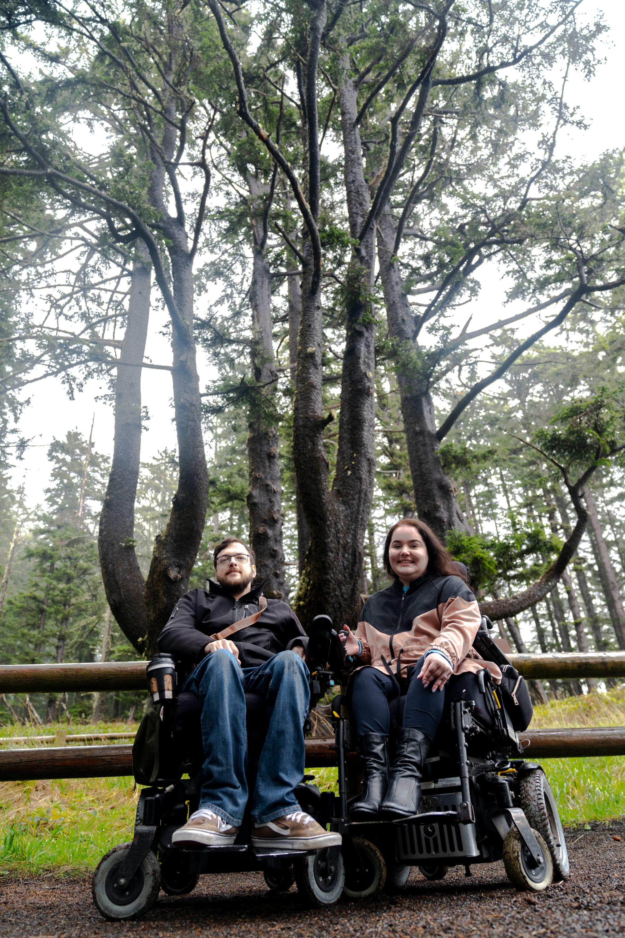 Wheelchair users in front of the Octopus Tree at Cape Meares, Tillamook Coast