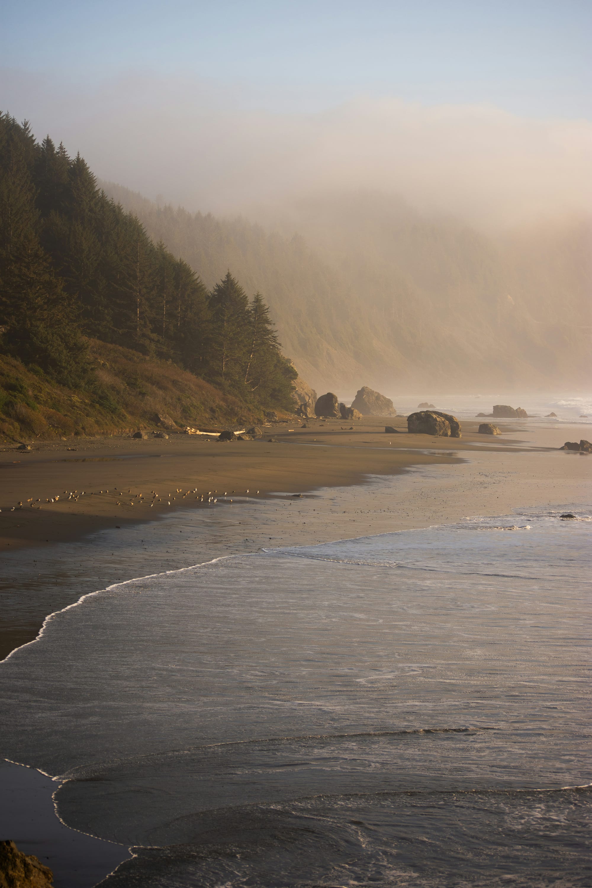 Whaleshead Beach during sunset in Brookings, Oregon