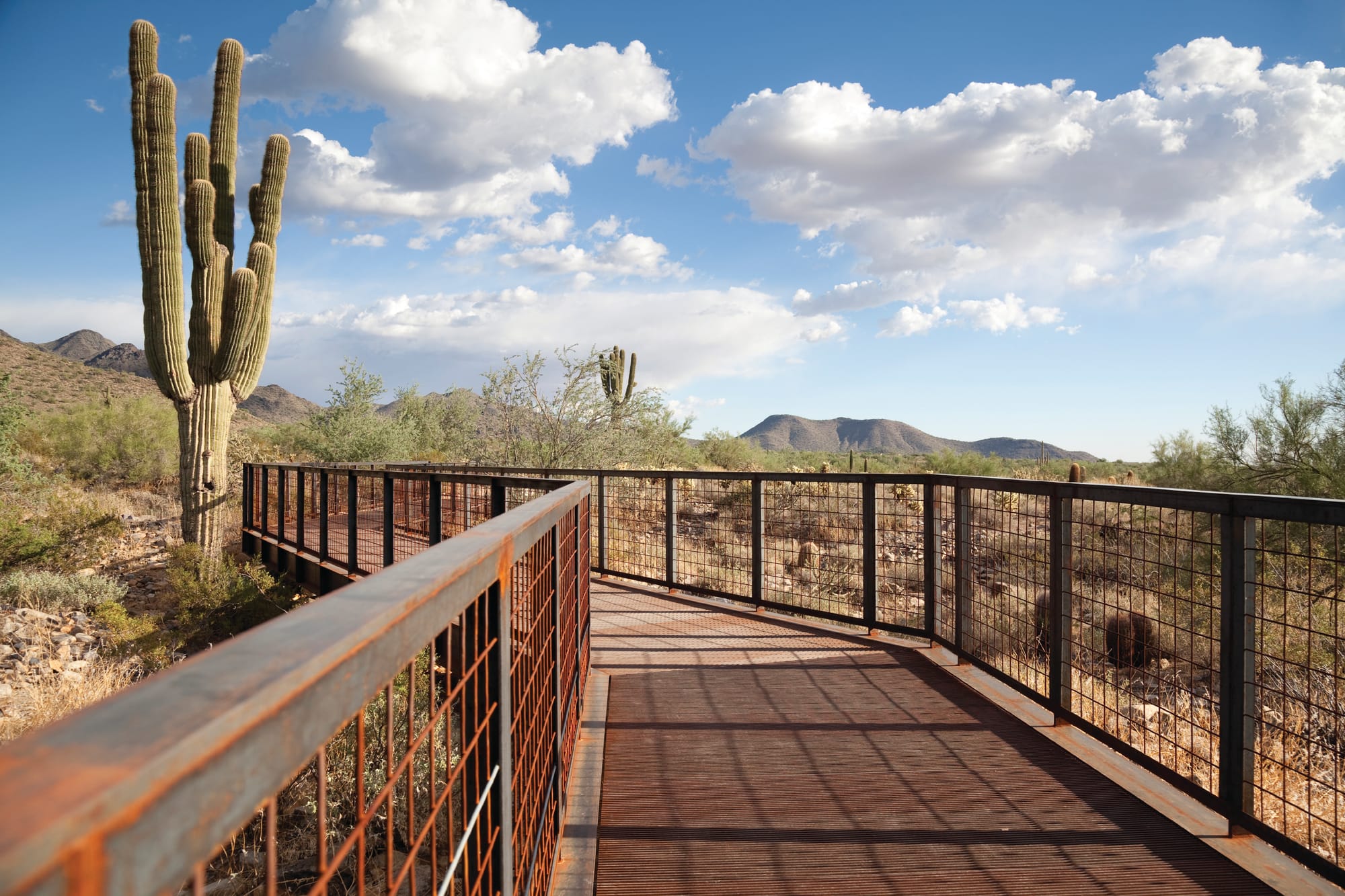 Accessible pathway at Gateway trailhead bridge in the McDowell Sonoran Preserve