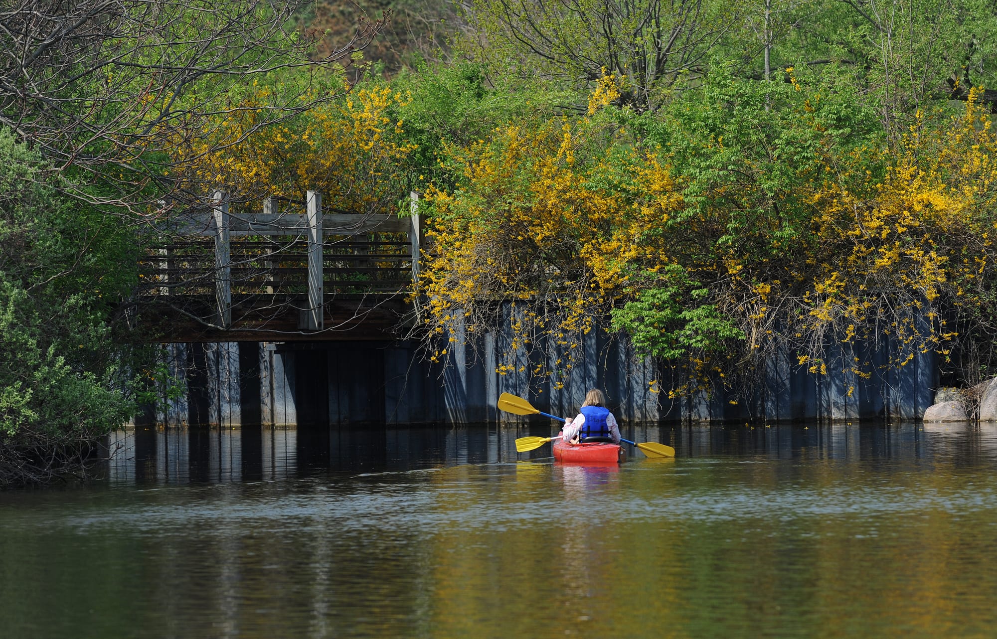 Kayaking on the Huron River near Gallup Park in Ann Arbor, Michigan