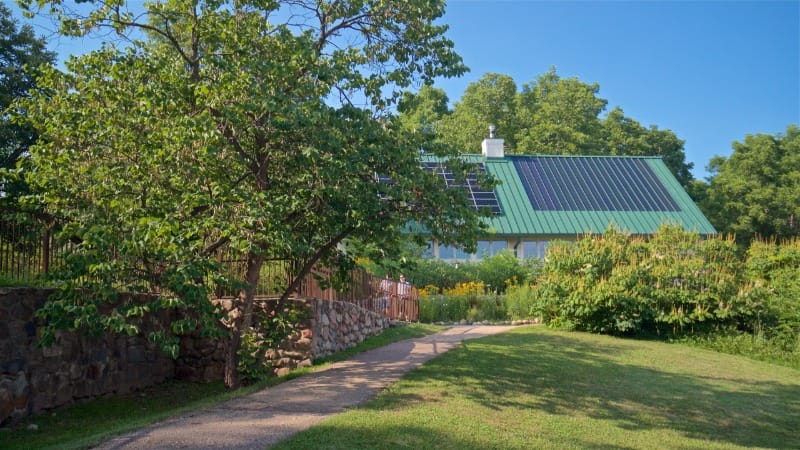 Accessible pathways at Leslie Science and Nature Center in Ann Arbor