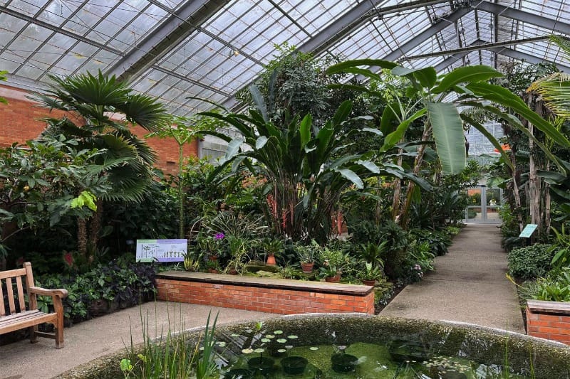 The Matthaei Botanical Gardens in Ann Arbor