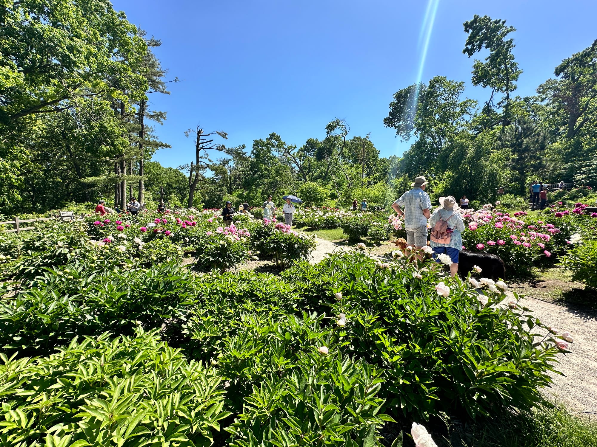 Accessible pathways at University of Michigan Nichols Arboretum