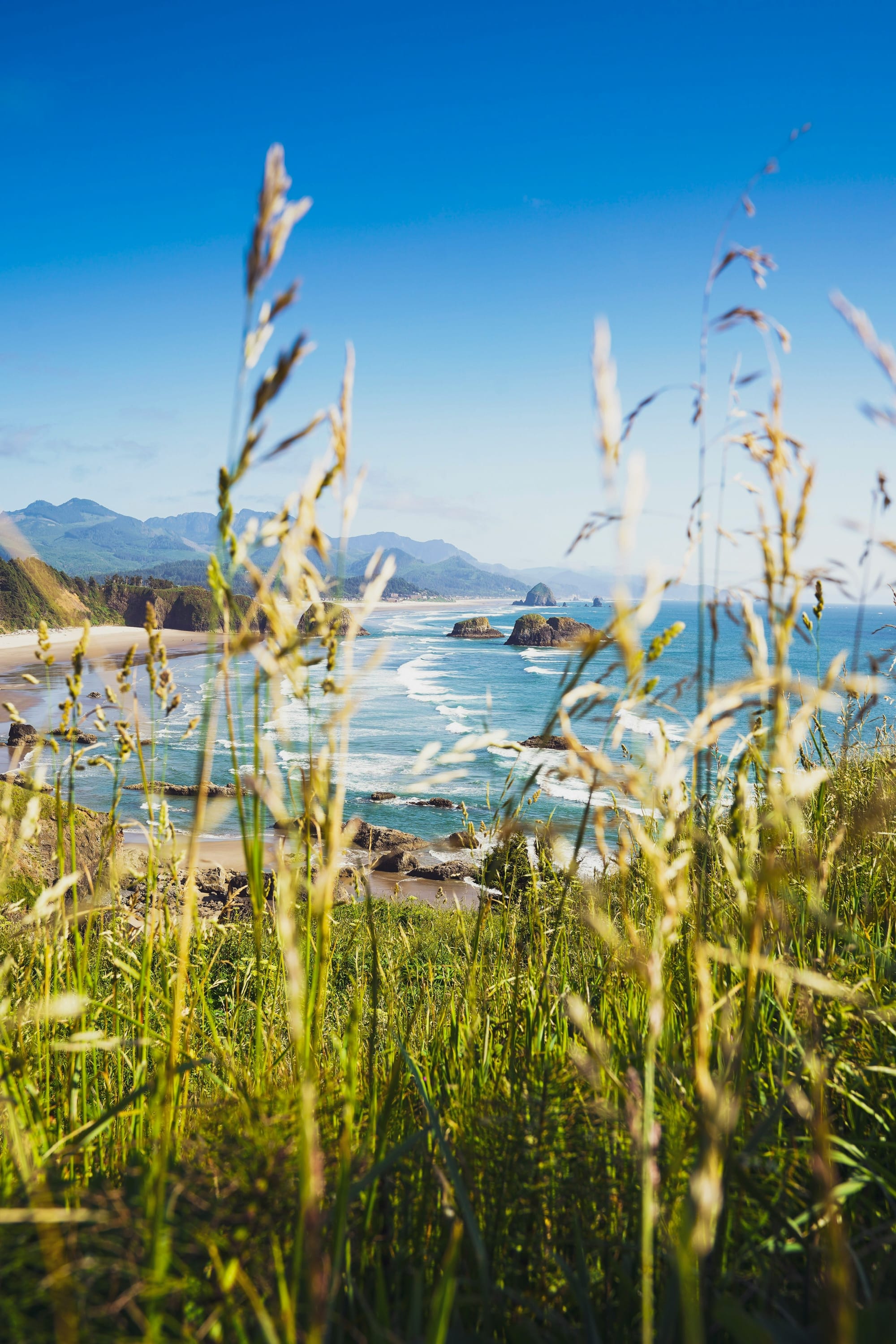 Views of the Oregon coastline at Ecola State Park