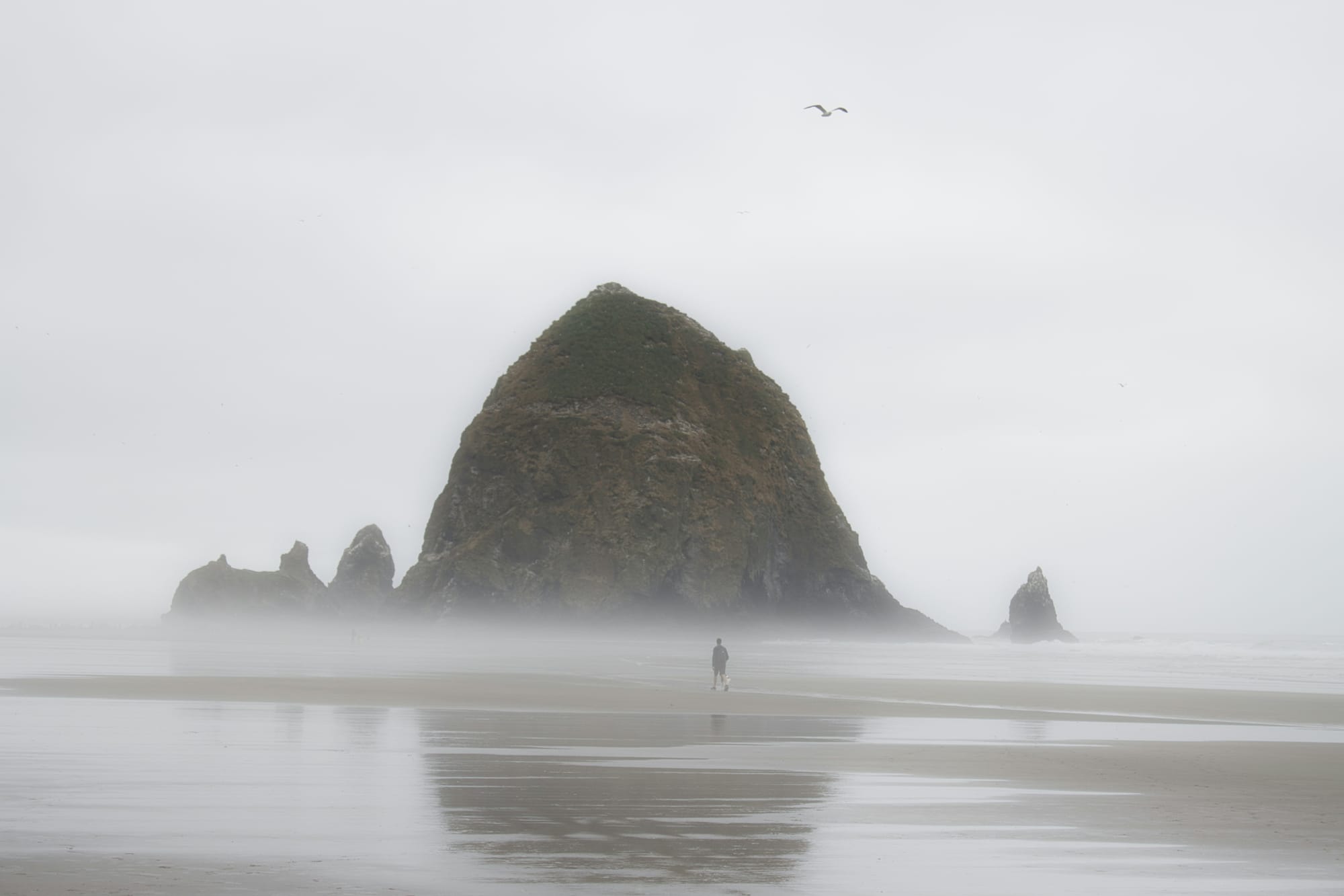 Man walking on the beach in front of Haystack Rock in Cannon Beach, Oregon