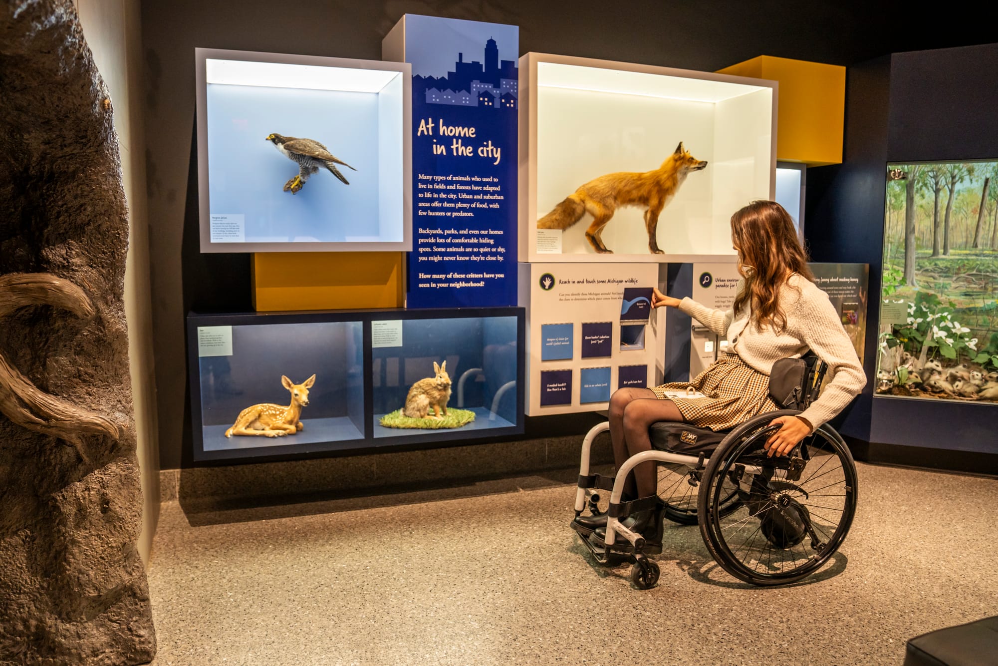 Wheelchair user at an accessible museum in Ann Arbor, Michigan