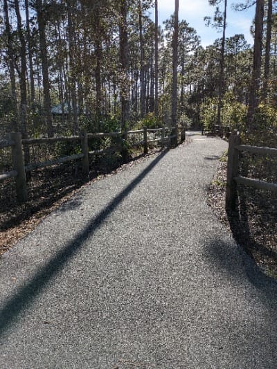 Wheelchair accessible paths at Conservation Park