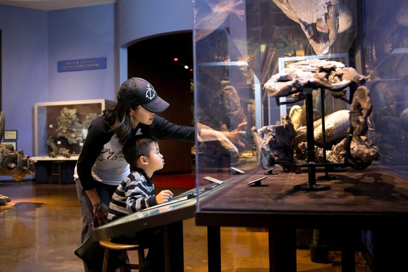 Mom and child looking at exhibits in San Diego Natural History Museum