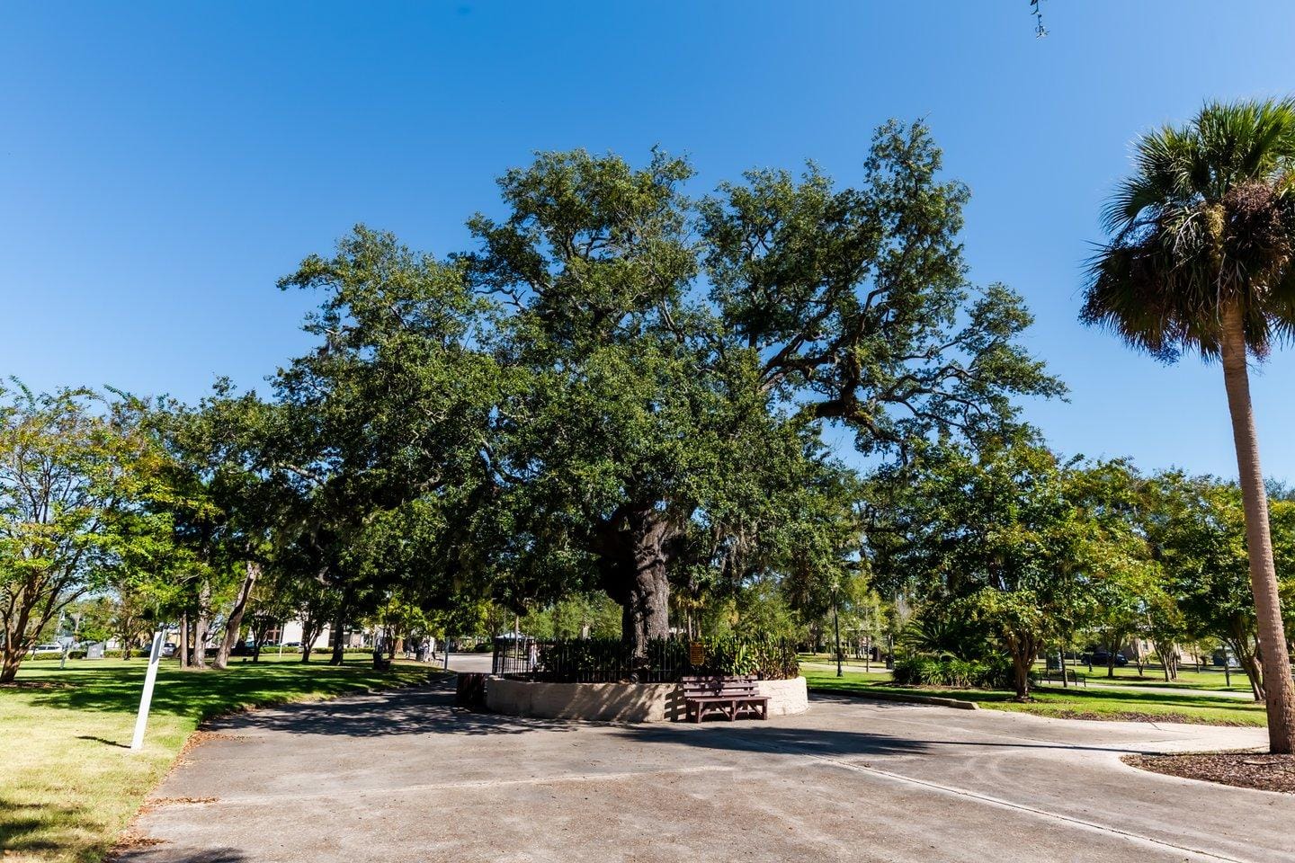 Bench and accessible pathways at Oaks by the Bay Park