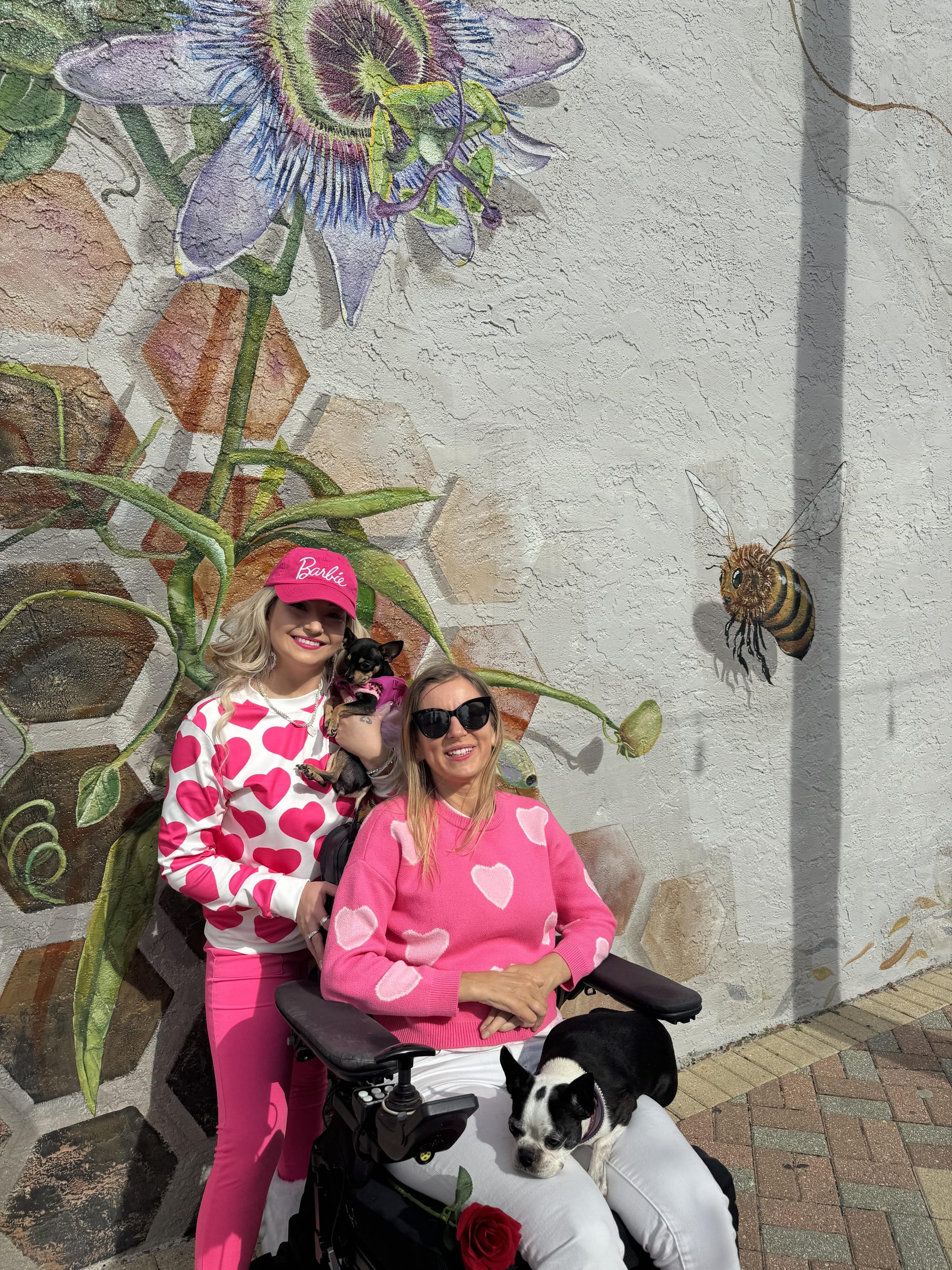 Wheelchair-user and companion on Panama City Mural Trail, Florida