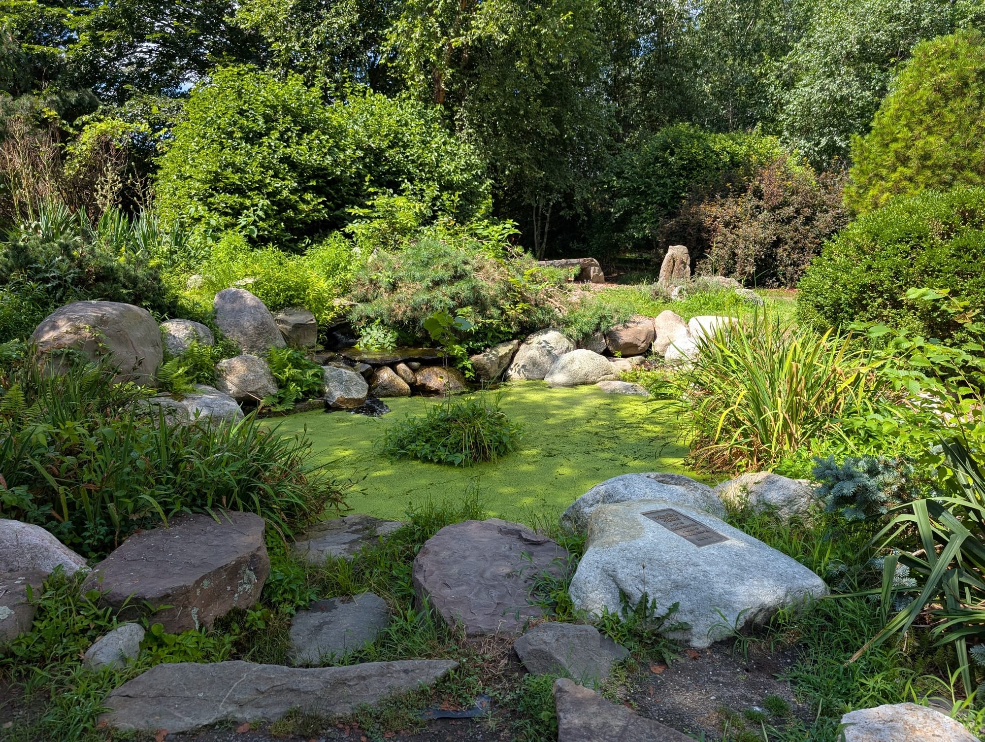 Pond at Orange County Arboretum
