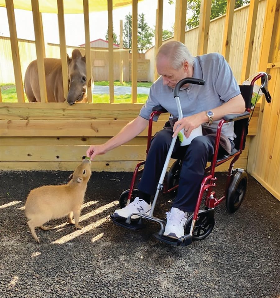 Wheelchair user meeting the animals at Animal Adventure Park in Bingham, NY