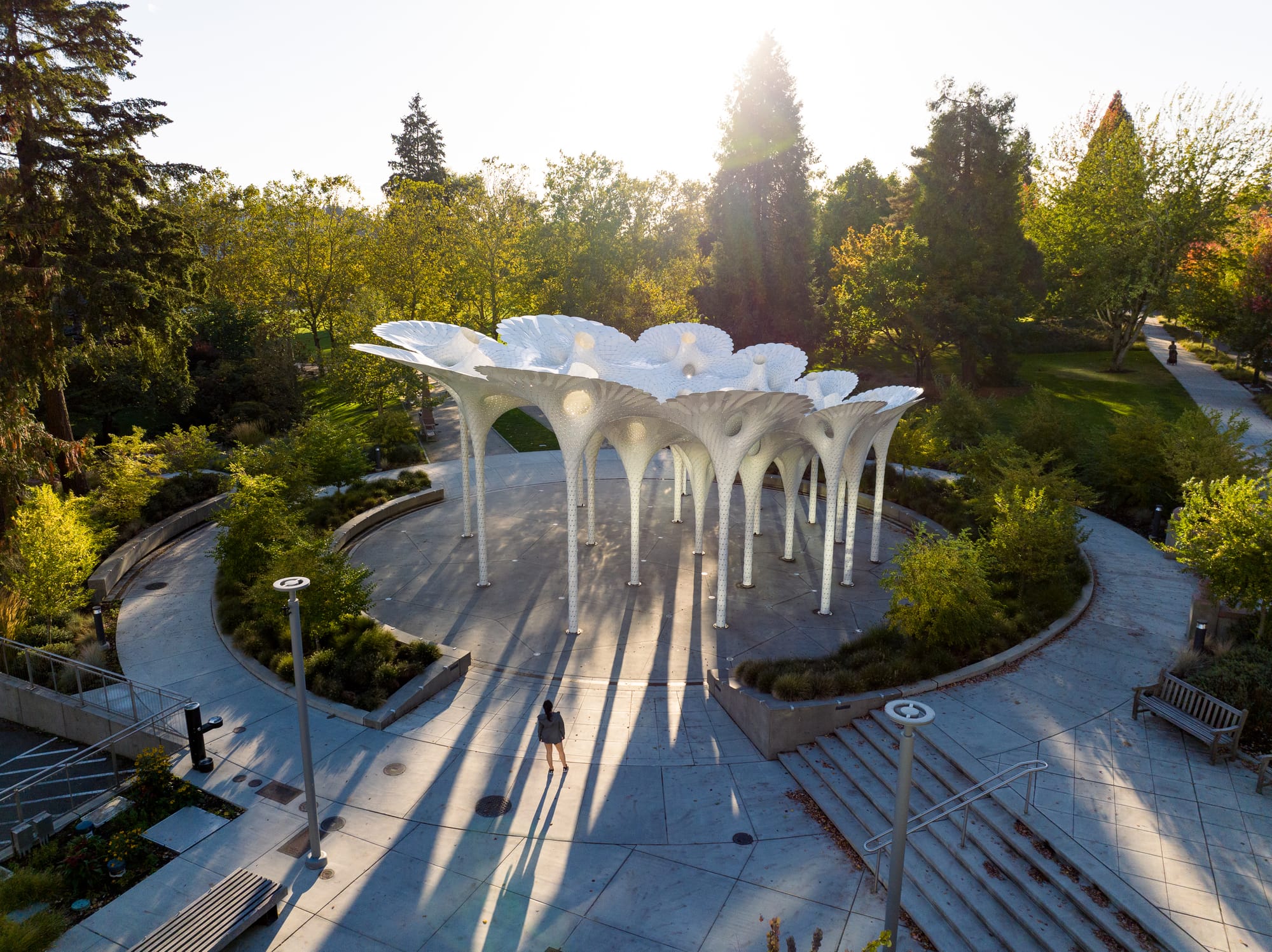 The Piloti sculpture in Bellevue