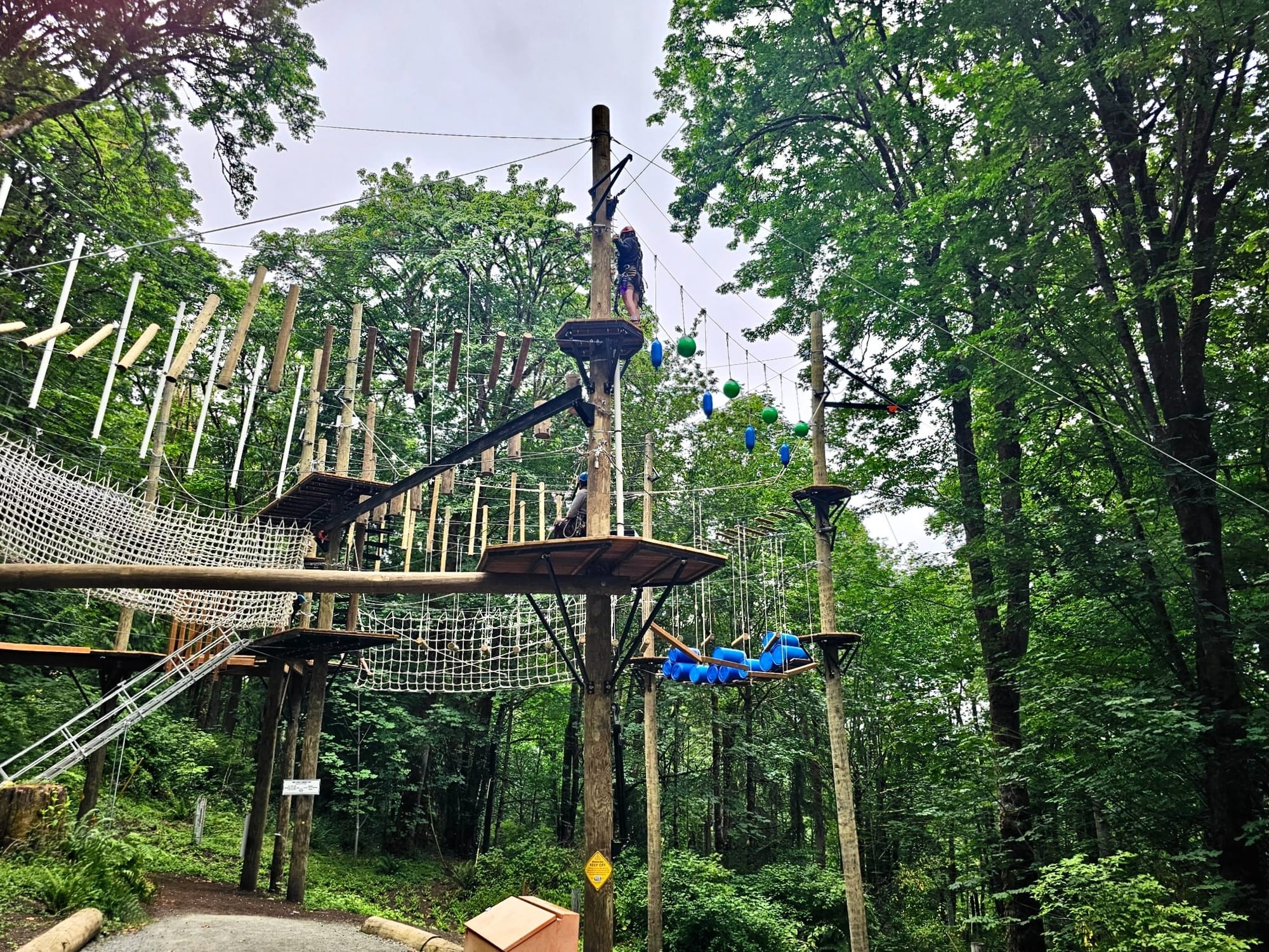 Someone climbing at Bellevue Adventures Aerial Park