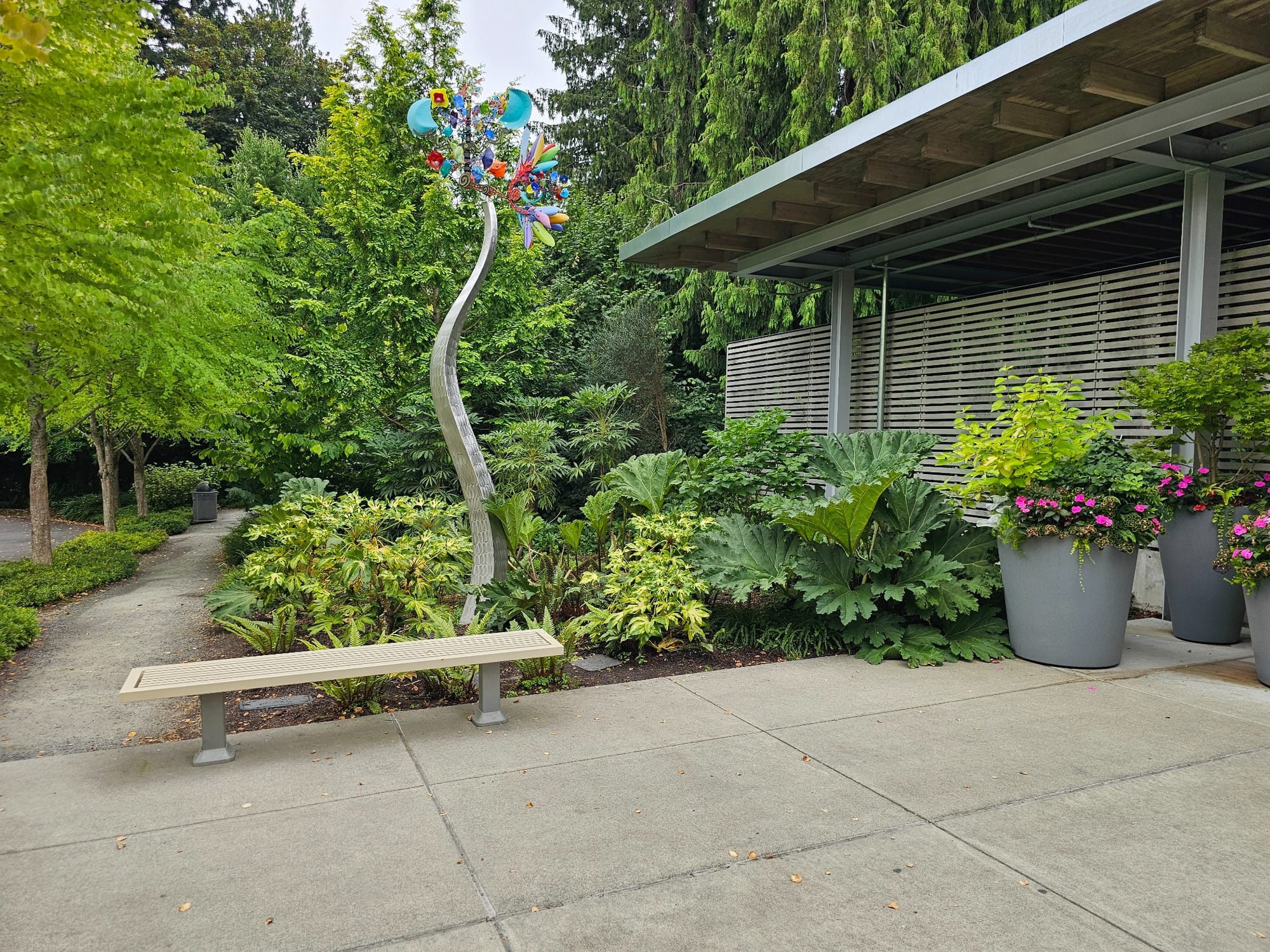 Plants at Bellevue Botanical Garden