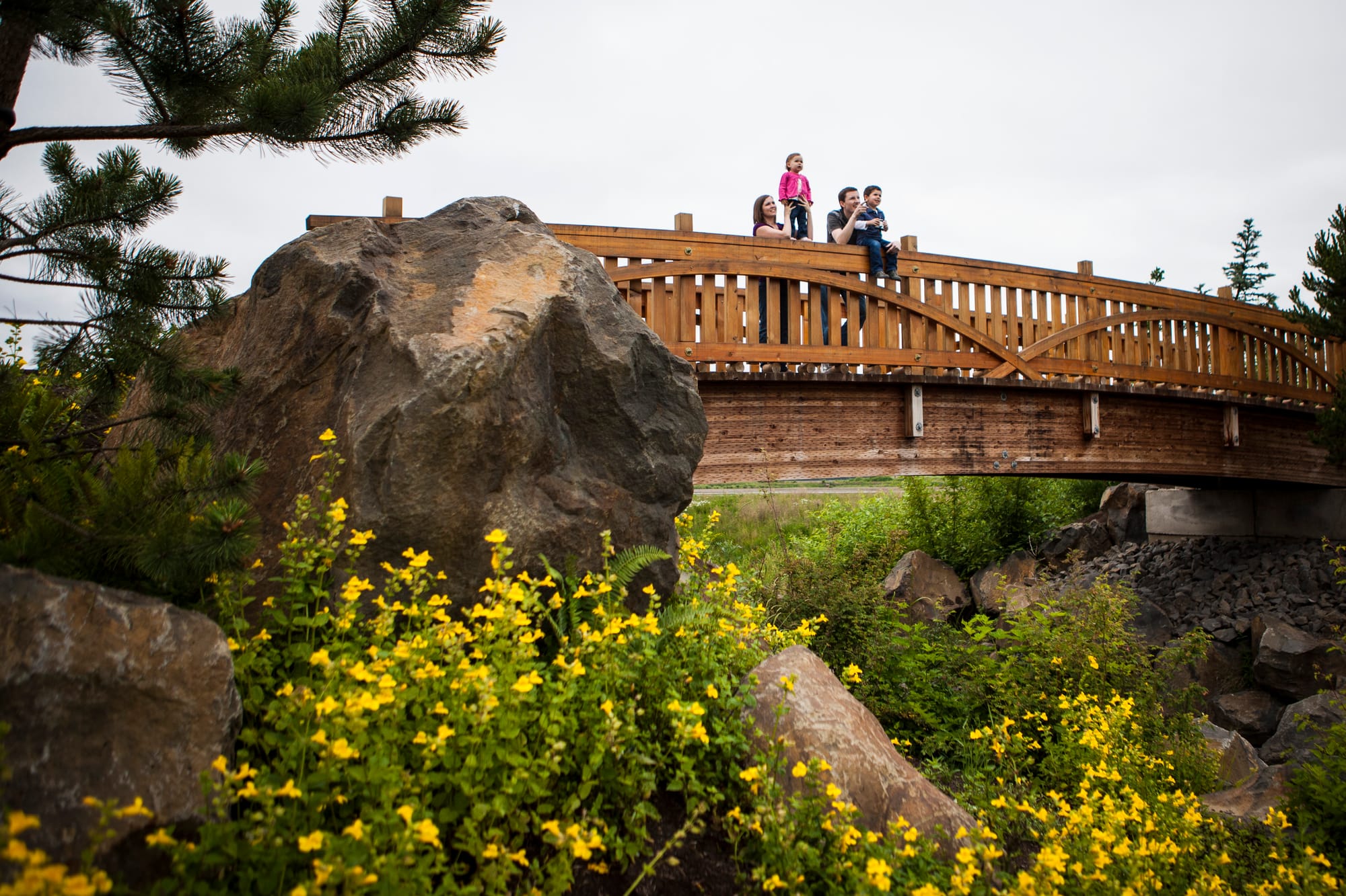 Family checking out the bridge at Fernhill Wetlands