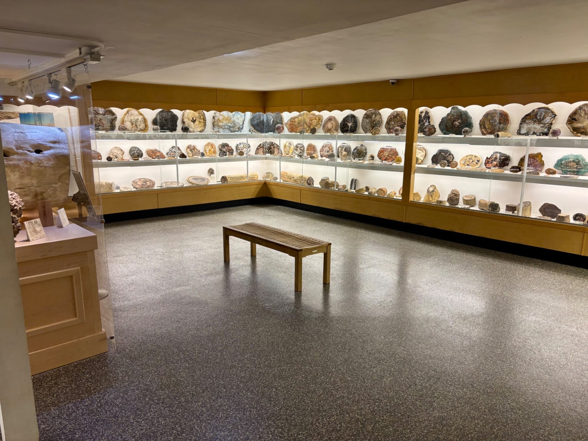 Exhibits at Rice Northwest Museum of Rocks and Minerals