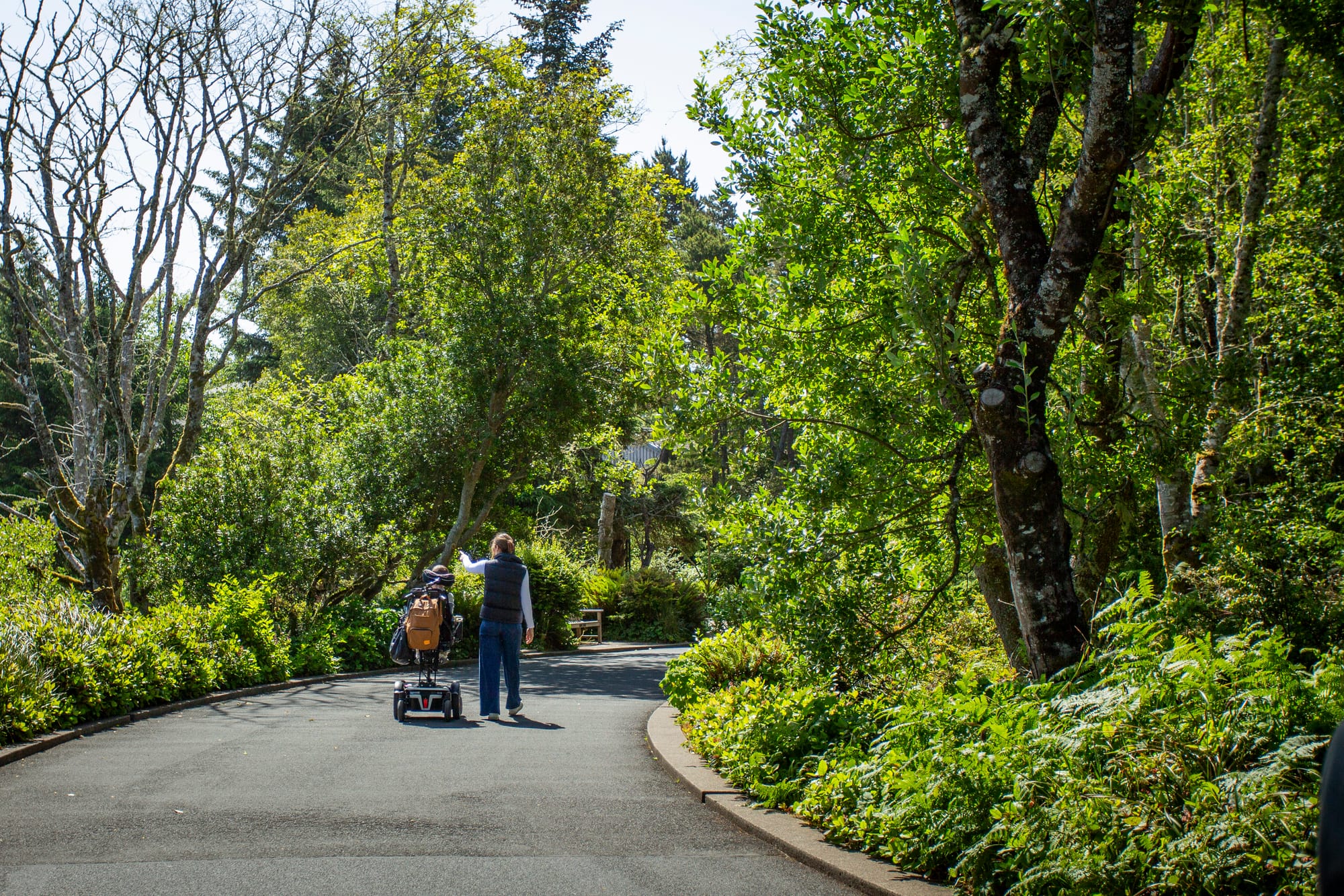 The Ultimate Wheelchair Accessible Oregon Coast Roadtrip Guide