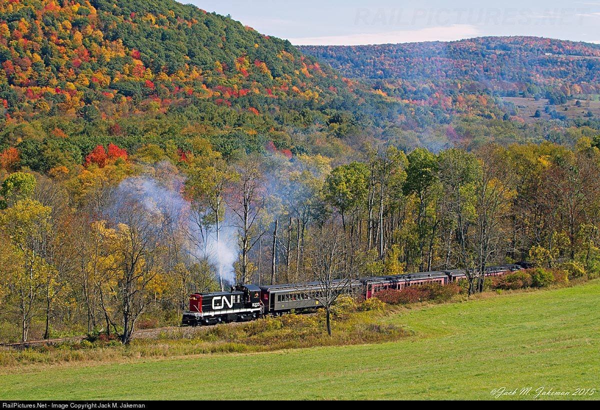 Train on the tracks from Cooperstown Charlotte Valley Railroad, with forests in the background