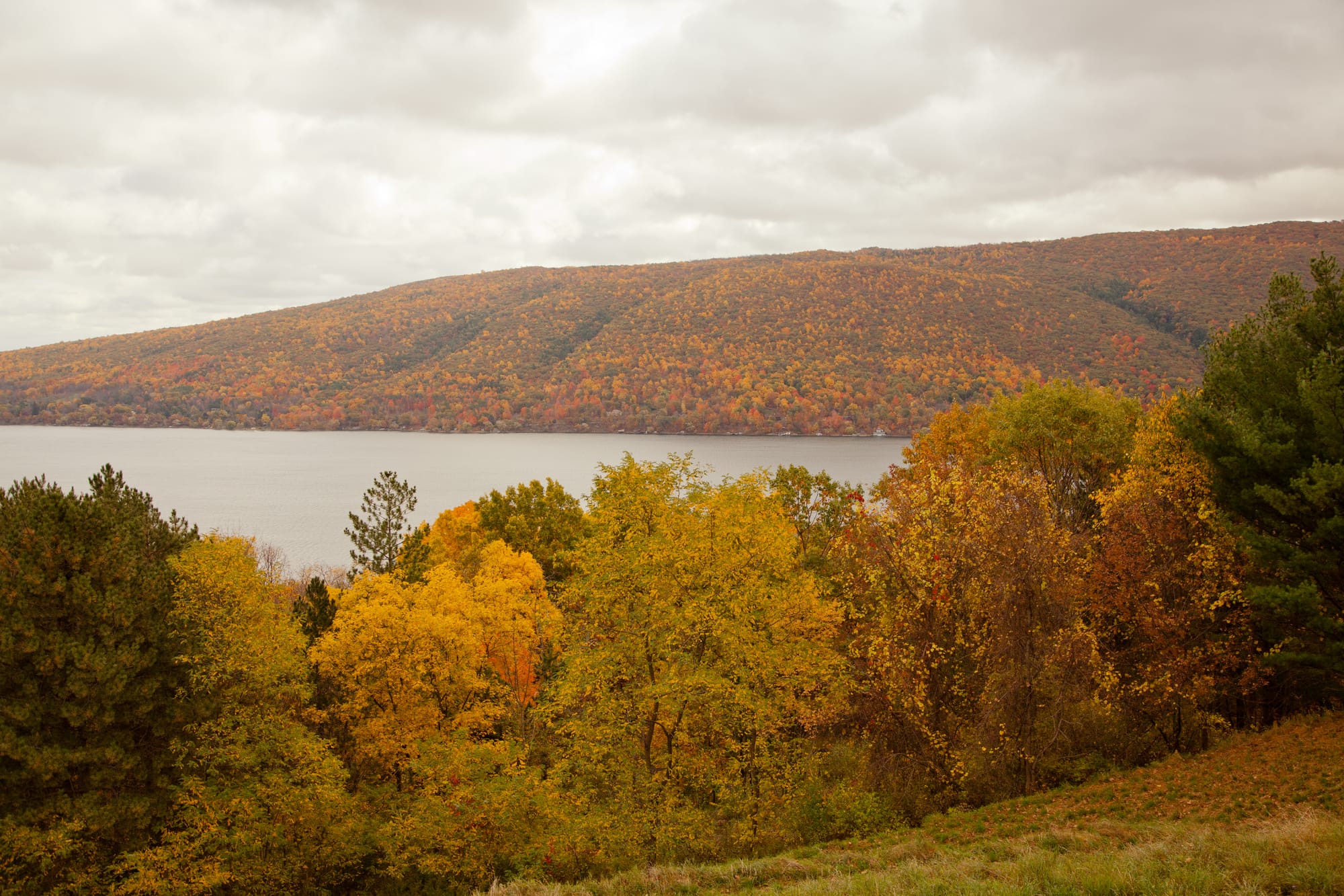 Fall colors at Arbor Hill in the Finger Lakes, NY