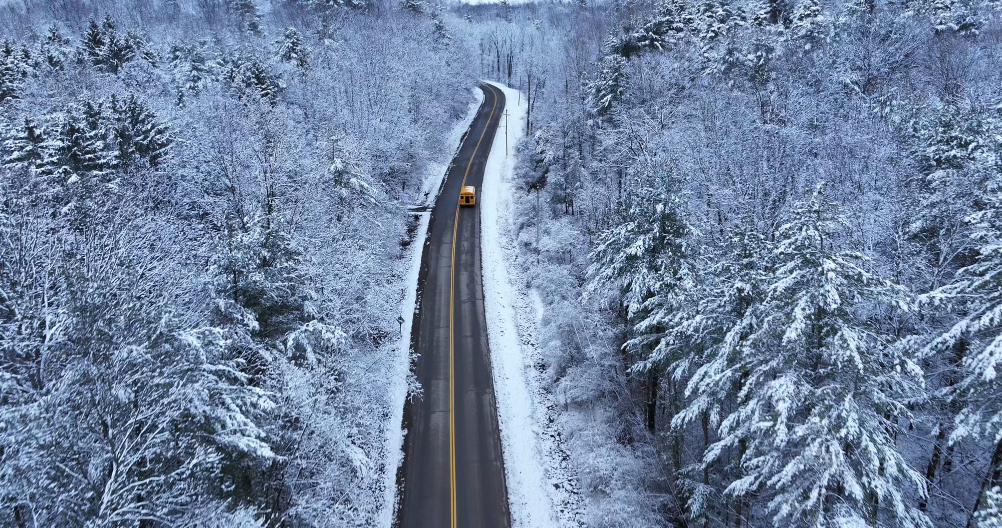 Snowy trees at Canadice Lake, Ontario County, NY