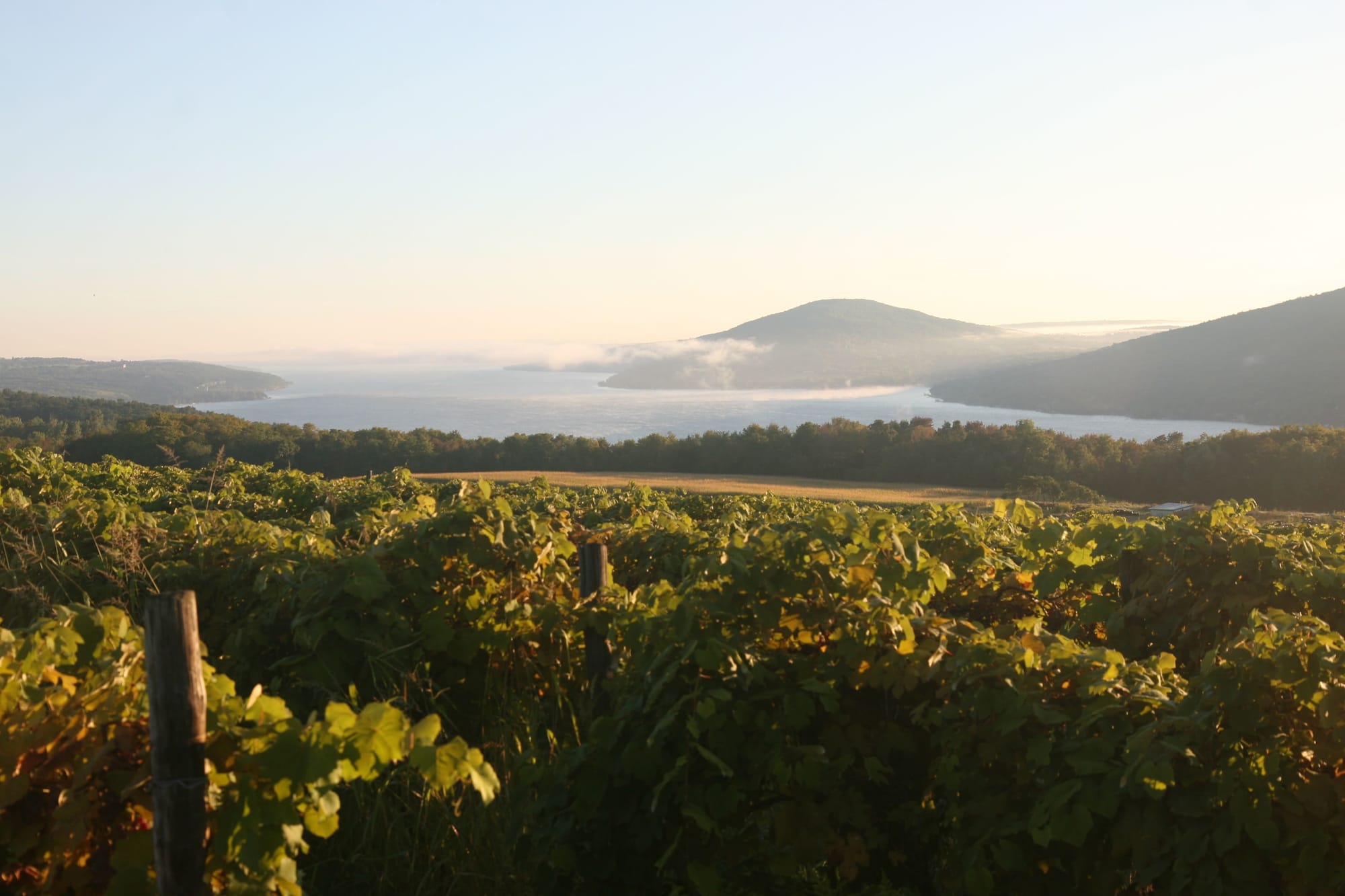 Lookout view over Canandaigua Lake at sunrise