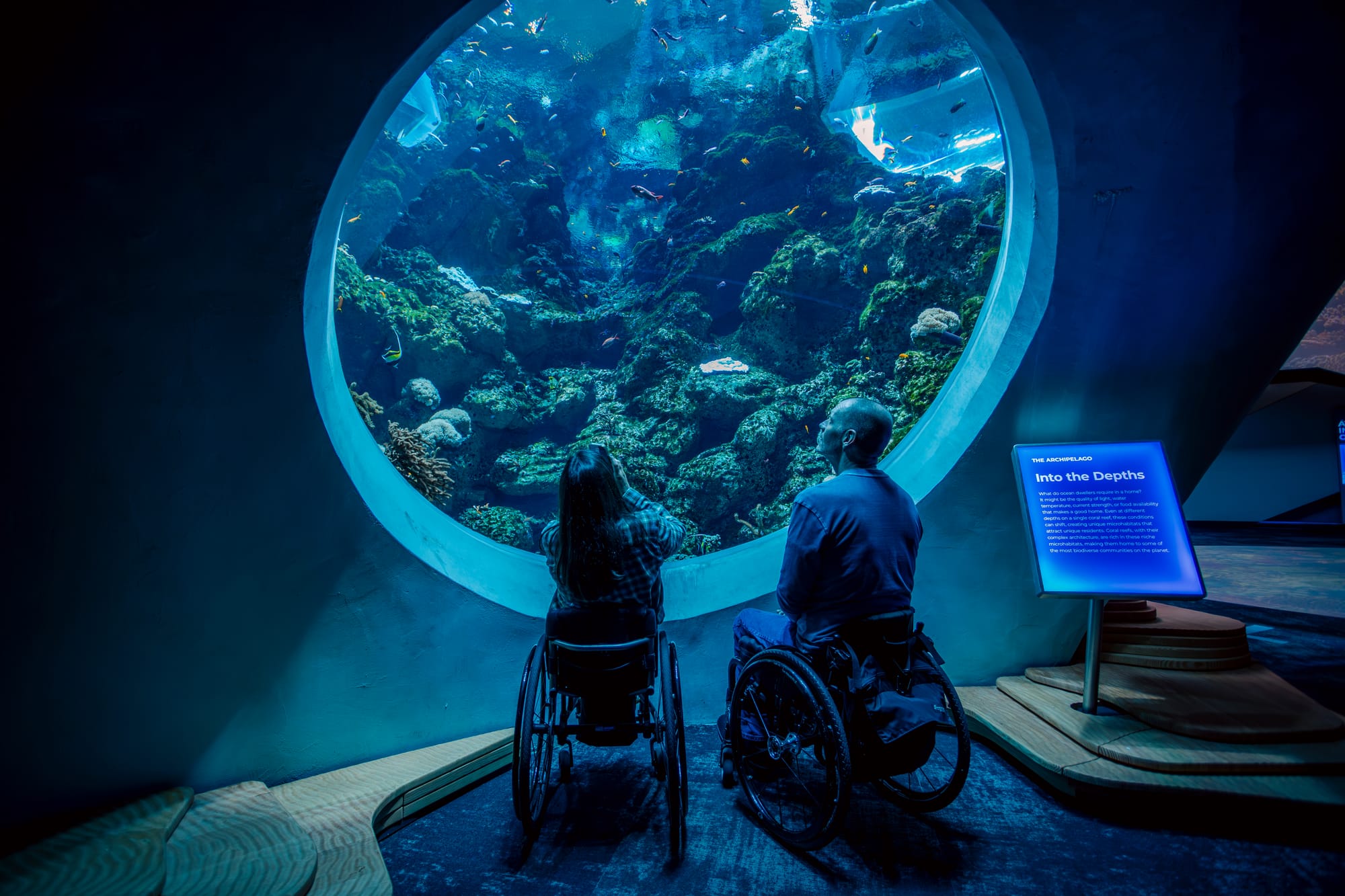 Two wheelchair users checking out fish at Seattle Aquarium